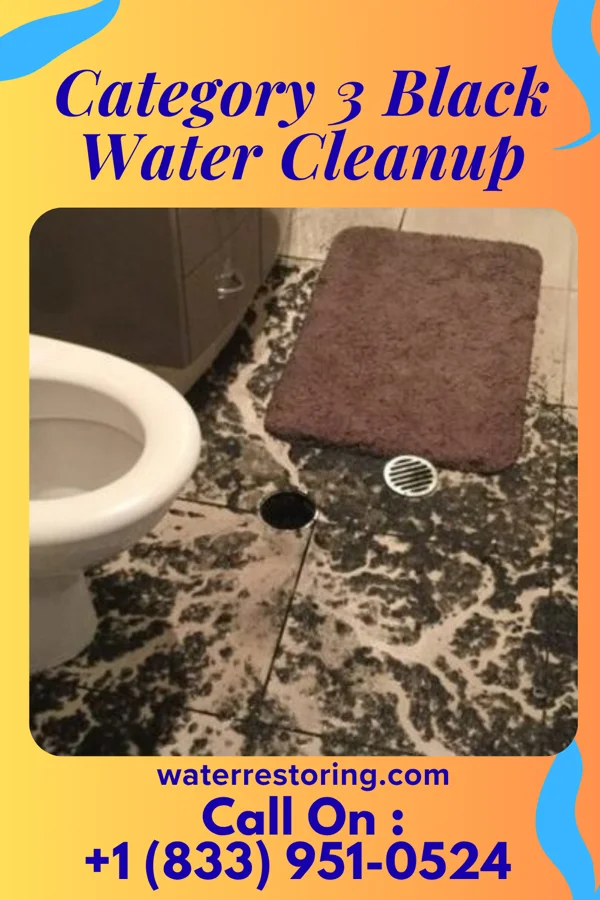 Category 3 Black Water Cleanup in Toulon, IL