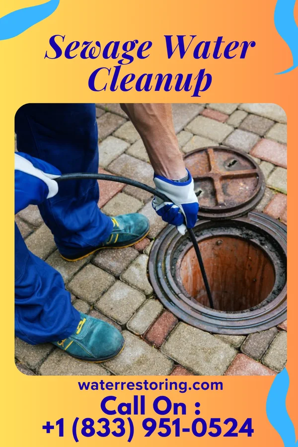 Sewage Water Cleanup in Toulon, IL